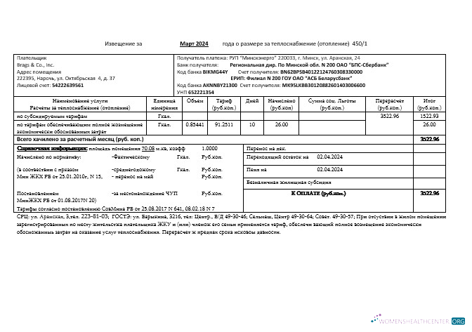 Belarus Minsk energo business utility bill template in Word and PDF format, fully editable